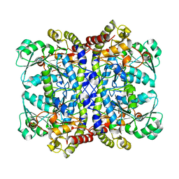 BU of 5x2v by Molmil