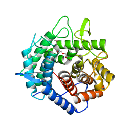 AU of 5x3a by Molmil