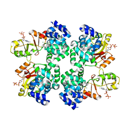 BU of 5x9g by Molmil