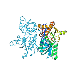 BU of 5xcp by Molmil