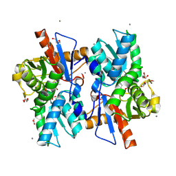 BU of 5xem by Molmil