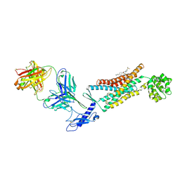 BU of 5xf1 by Molmil