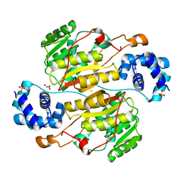 BU of 5xnf by Molmil