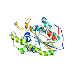 AU of 5xnu by Molmil