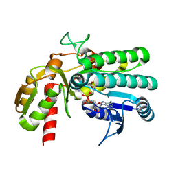 BU of 5y1f by Molmil