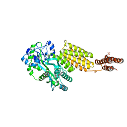 BU of 5y2g by Molmil