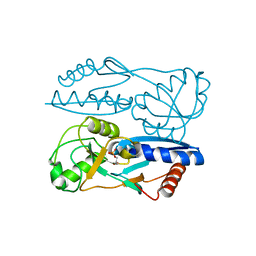 BU of 5y2w by Molmil