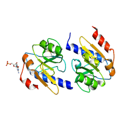 BU of 5y62 by Molmil