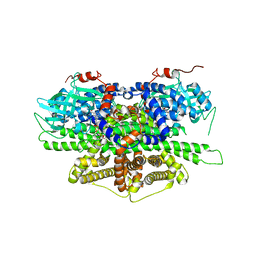 BU of 5y9d by Molmil