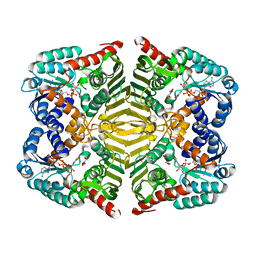 BU of 5yap by Molmil