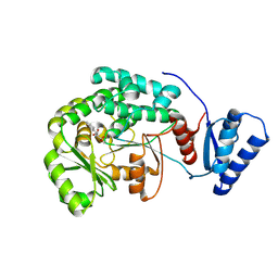 BU of 5ydl by Molmil