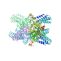 BU of 5yg8 by Molmil