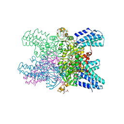 BU of 5yg9 by Molmil