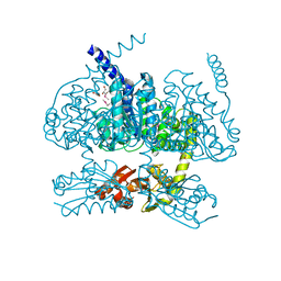 BU of 5yh1 by Molmil