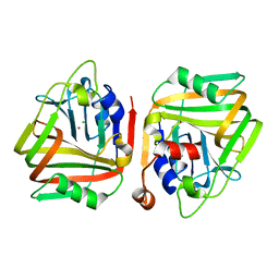 AU of 5yhk by Molmil