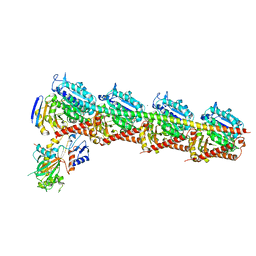 BU of 5yl4 by Molmil