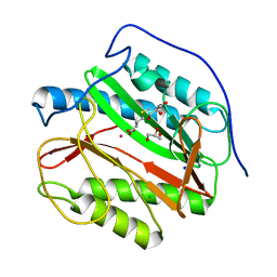 BU of 5ypd by Molmil