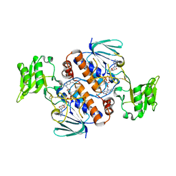 AU of 5zbv by Molmil