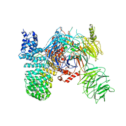 AU of 5zd5 by Molmil