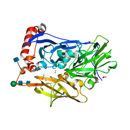 AU of 5zd7 by Molmil