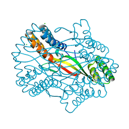 BU of 6a02 by Molmil