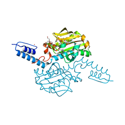 BU of 6aac by Molmil