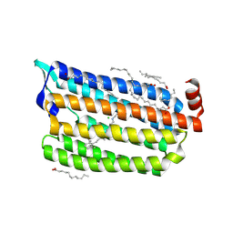 BU of 6ab9 by Molmil