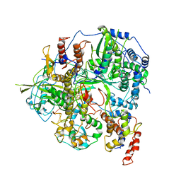 AU of 6abf by Molmil