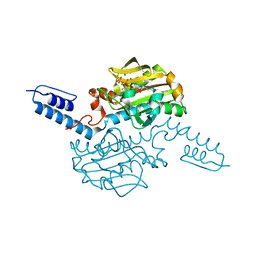 BU of 6abl by Molmil