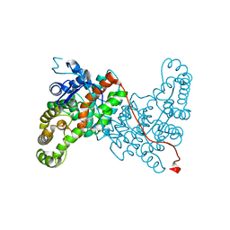 BU of 6abv by Molmil