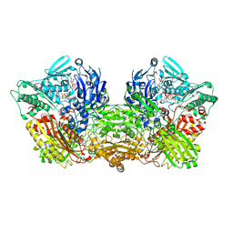 BU of 6ac1 by Molmil