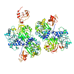 BU of 6ac3 by Molmil