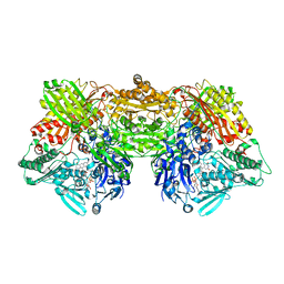 BU of 6ac4 by Molmil