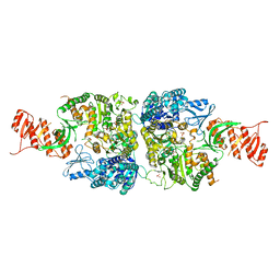 BU of 6ac8 by Molmil