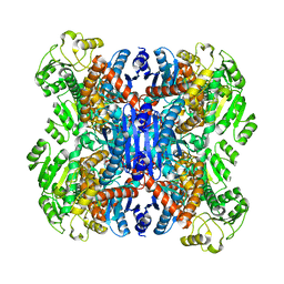 BU of 6acf by Molmil