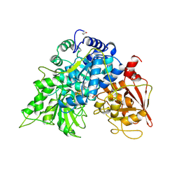 BU of 6acn by Molmil