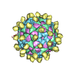 BU of 6adm by Molmil