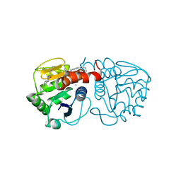 BU of 6afb by Molmil