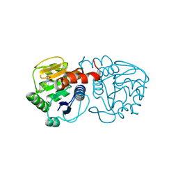 BU of 6afd by Molmil