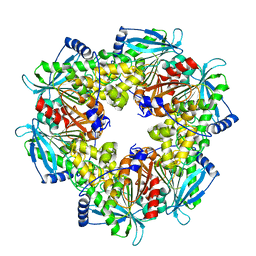 BU of 6agq by Molmil