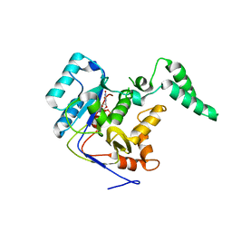 AU of 6agu by Molmil