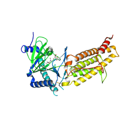 BU of 6ak4 by Molmil