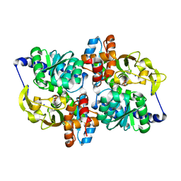 BU of 6amc by Molmil