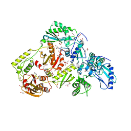 BU of 6aoc by Molmil