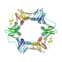 BU of 6ap4 by Molmil