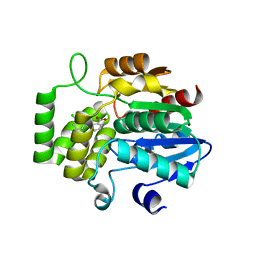 BU of 6ap6 by Molmil