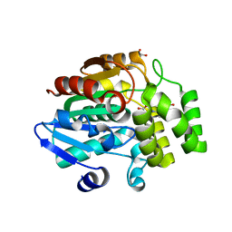 BU of 6ap8 by Molmil