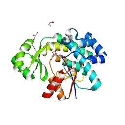 BU of 6apf by Molmil