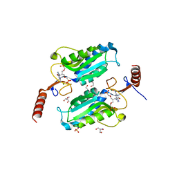 BU of 6aps by Molmil