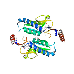 BU of 6apv by Molmil